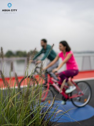 Beneficiile de a fi proprietar in Aqua City