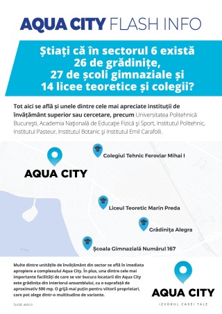 Infografic Sector 6
