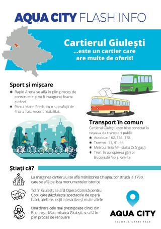 Infografic Cartierul Giulesti